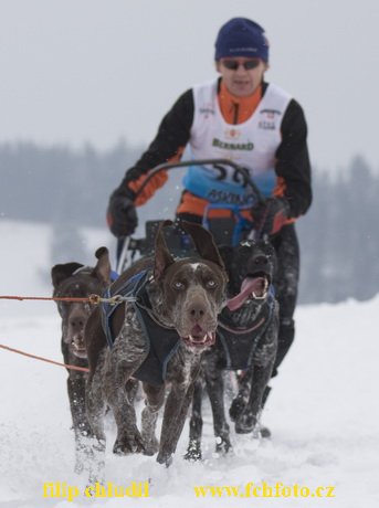 Tri studne zima 2009 - 0389.jpg